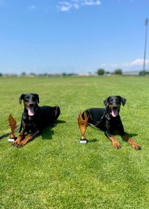 Asha & Alpha - Grand Prix Croatia 25